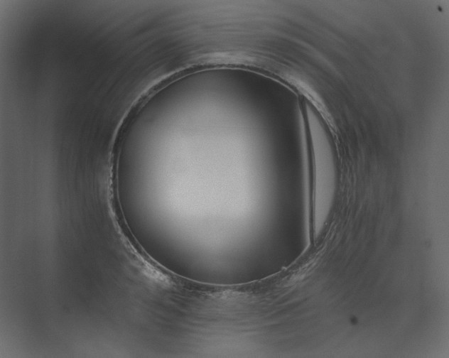 X0000073900992200608251452