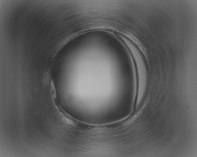 X0000073900993200608251452