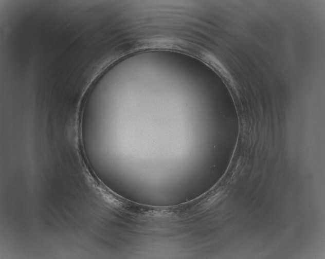 X0000073900994200608251452