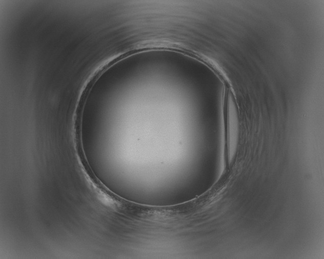 X0000073900995200608251452