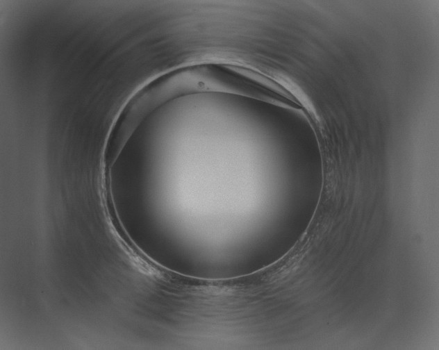 X0000073900996200608251452