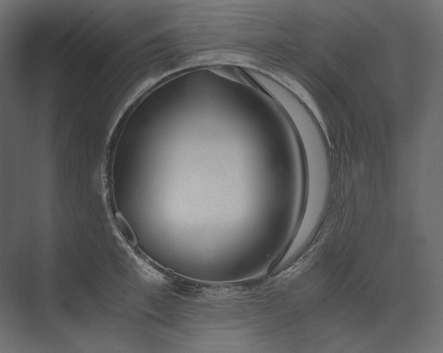 X0000073900997200608251452