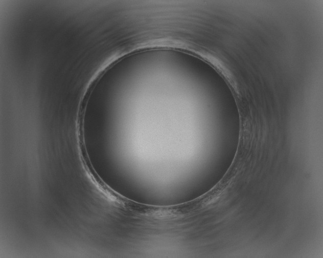 X0000073900998200608251452