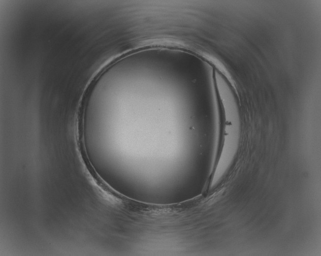 X0000073900999200608251452