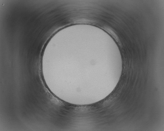 X0000073901000200608251452