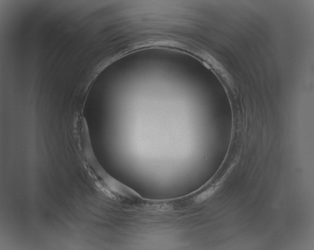 X0000073901001200608251452