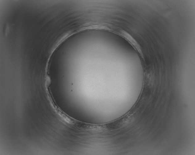 X0000073901002200608251452