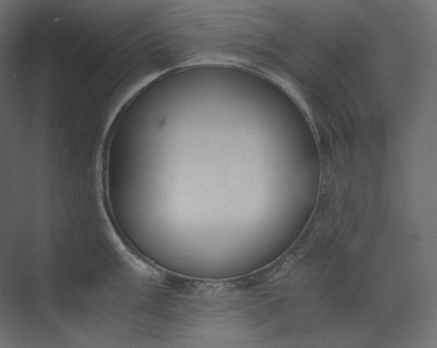 X0000073901003200608251452