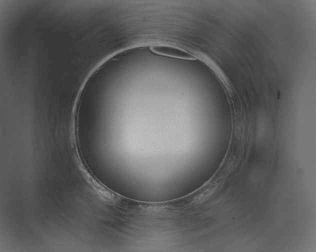 X0000073901004200608251452