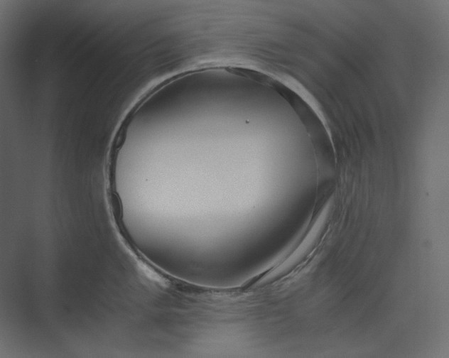 X0000073901005200608251452