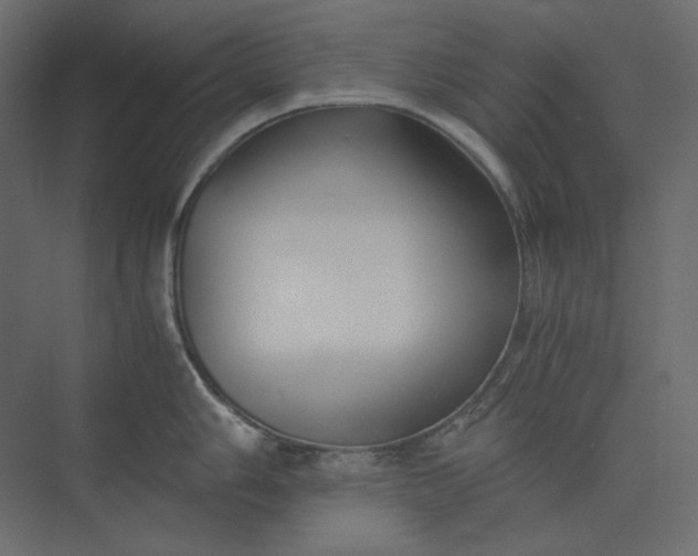 X0000073901006200608251452