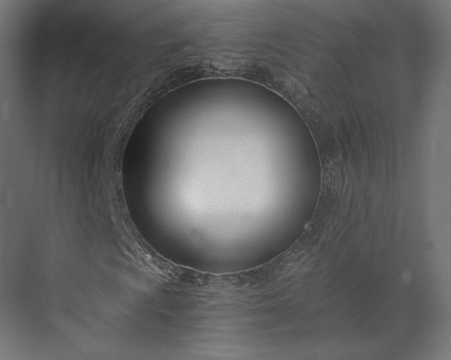 X0000073901009200608251451