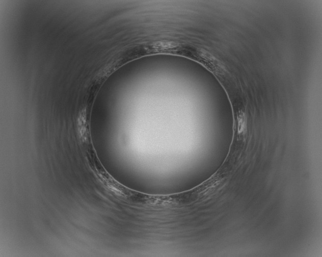 X0000073901011200608251451