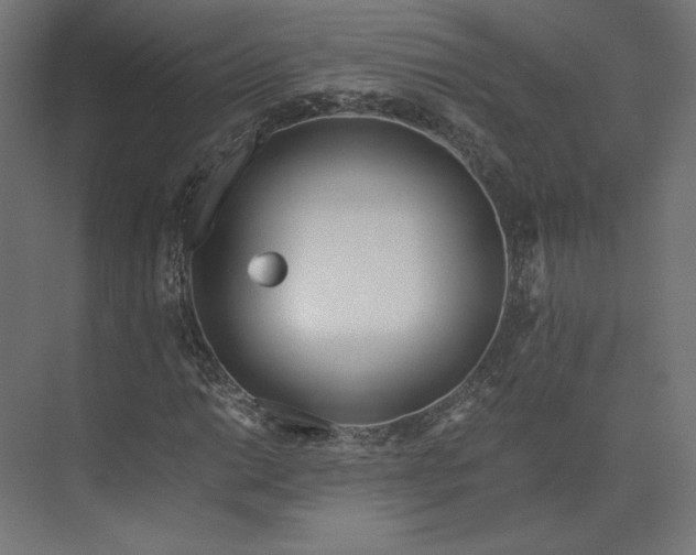 X0000073901014200608251451