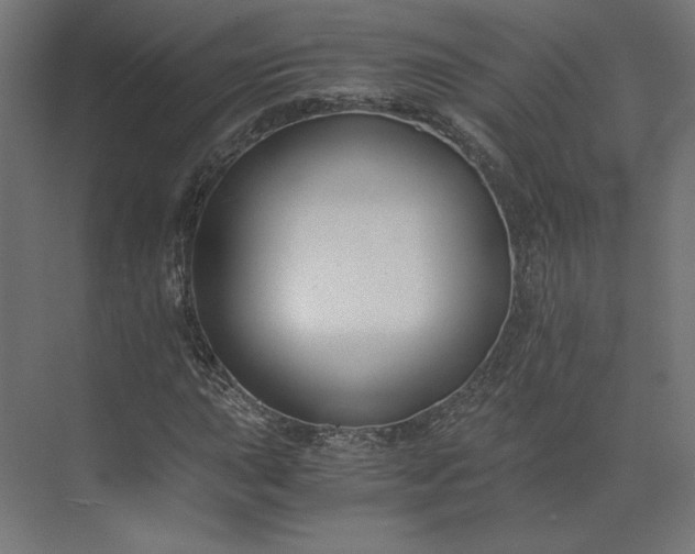 X0000073901015200608251451