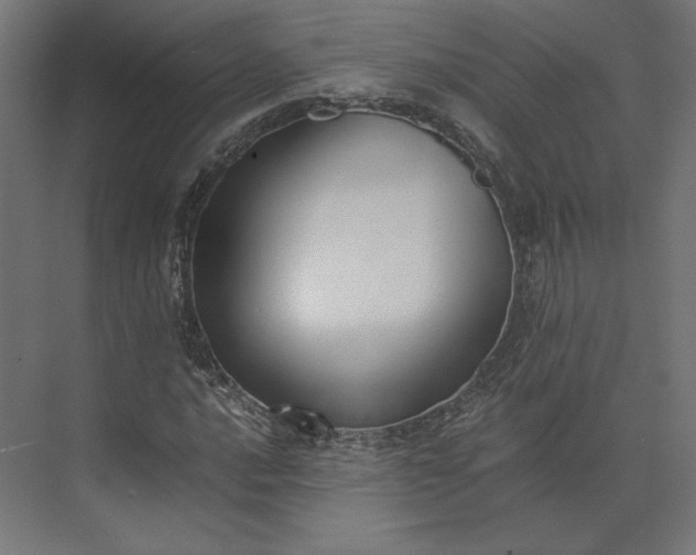 X0000073901016200608251452