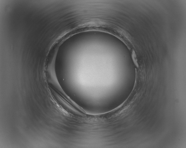 X0000073901018200608251452