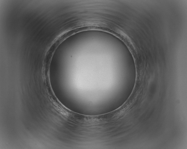 X0000073901019200608251452