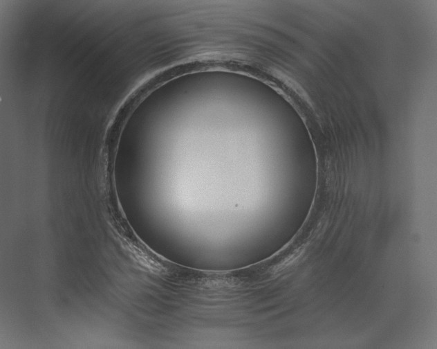 X0000073901021200608251452