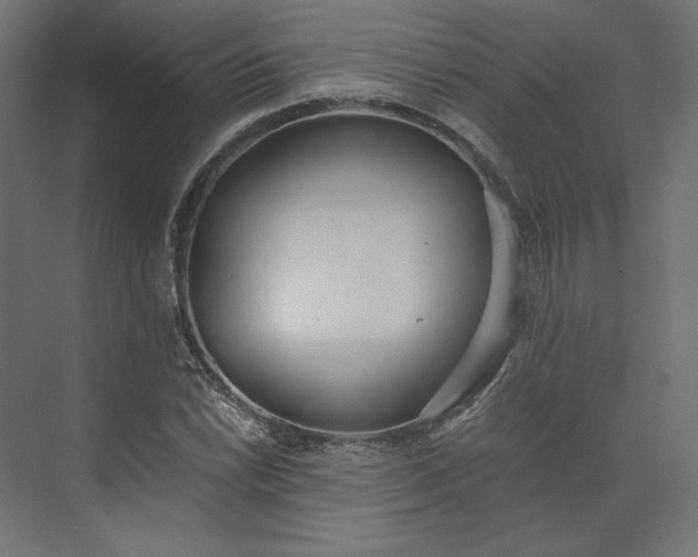 X0000073901022200608251452