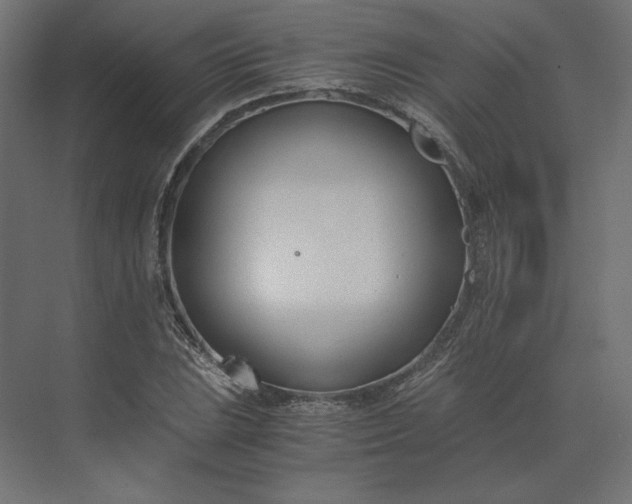 X0000073901023200608251452