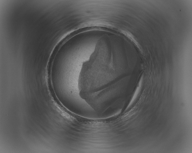 X0000073901024200608251452