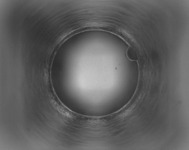 X0000073901025200608251452