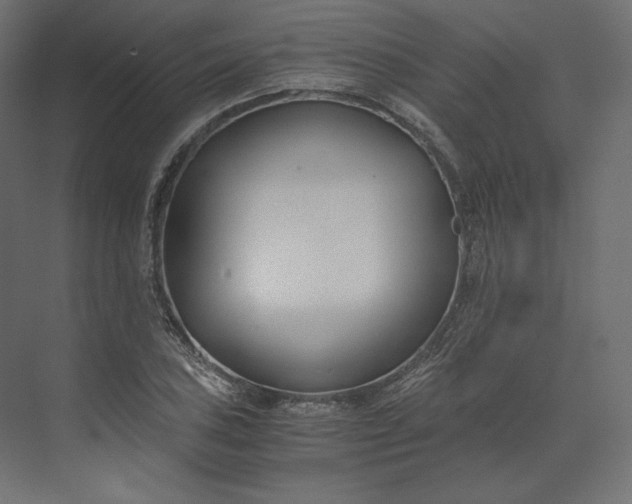 X0000073901027200608251452