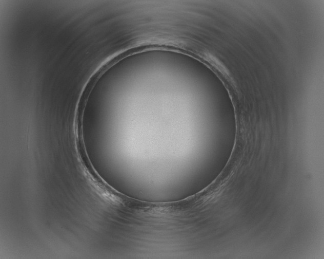 X0000073901028200608251452