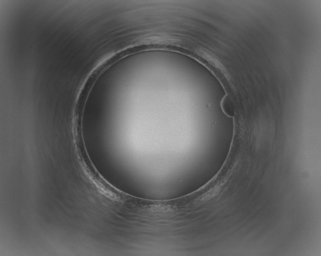 X0000073901029200608251452