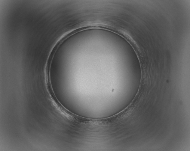 X0000073901032200608251452