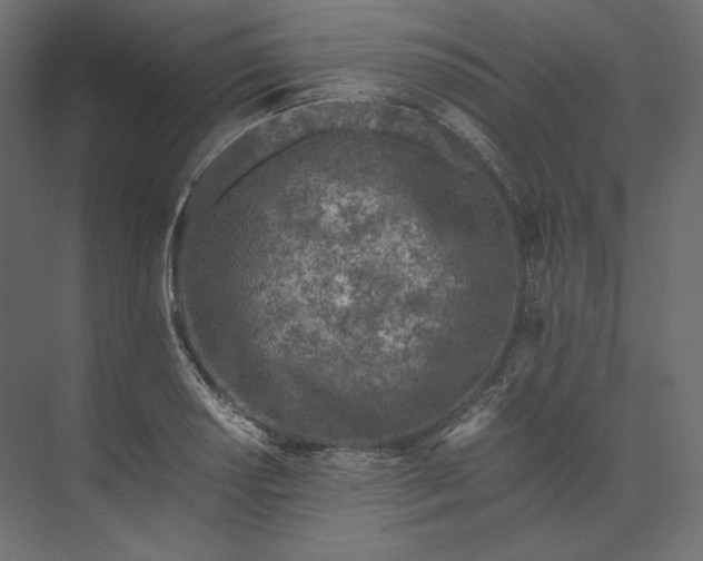 X0000073901034200608251452