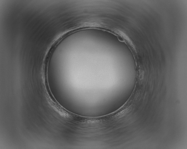 X0000073901035200608251452