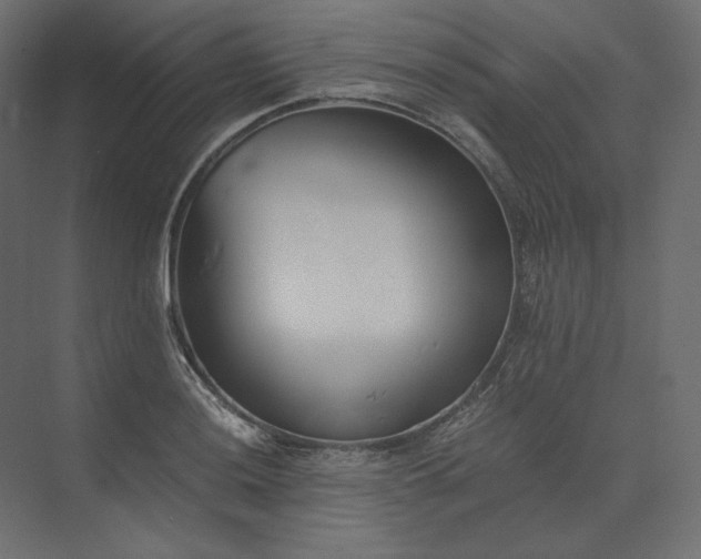 X0000073901036200608251452