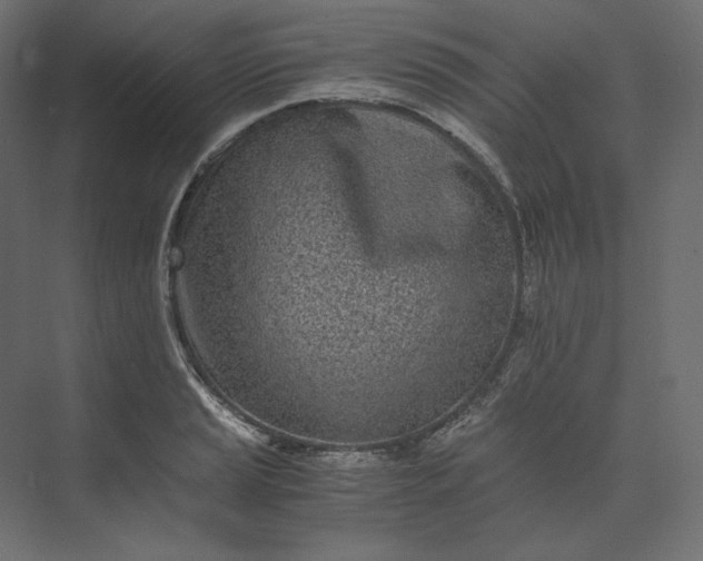 X0000073901037200608251452