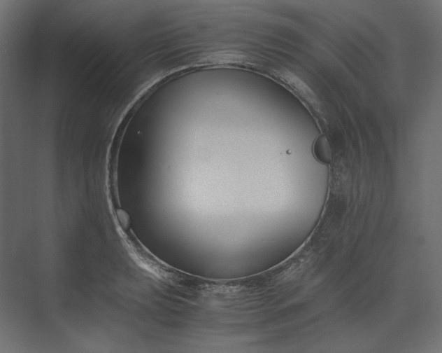 X0000073901039200608251452