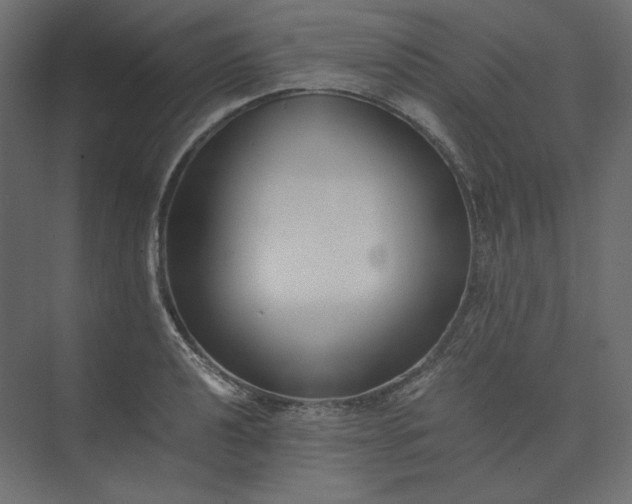 X0000073901040200608251452