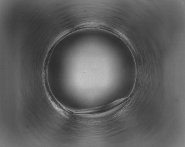 X0000073901042200608251452