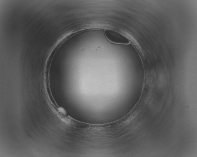 X0000073901043200608251452