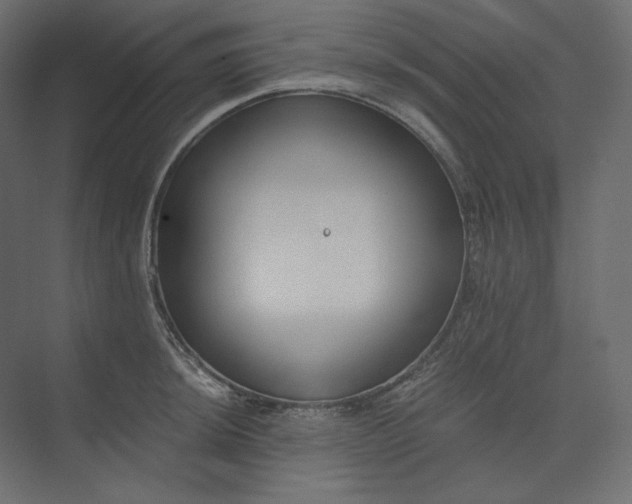 X0000073901044200608251452