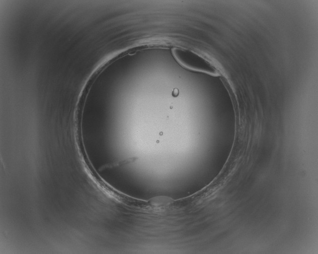 X0000073901045200608251452