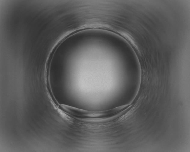 X0000073901046200608251452