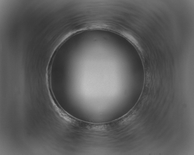 X0000073901047200608251452