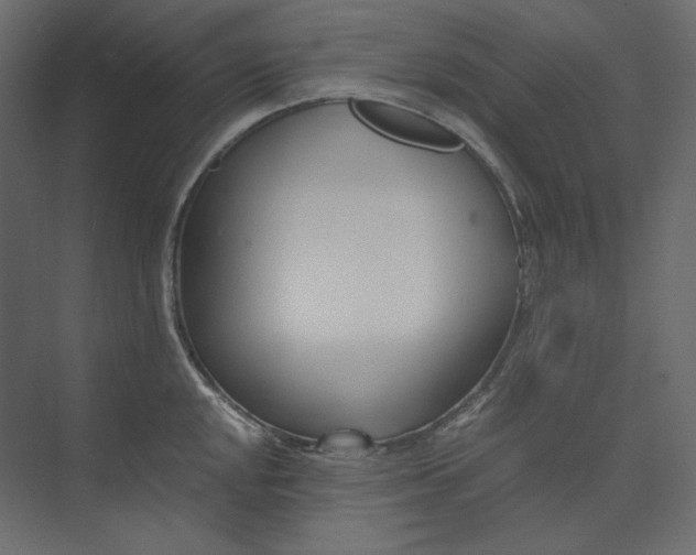 X0000073901048200608251452