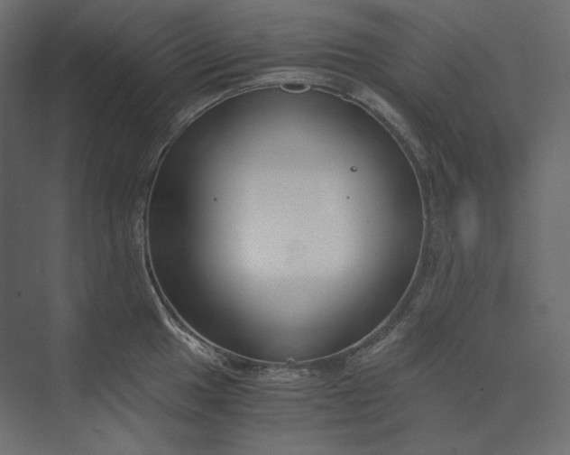 X0000073901049200608251452