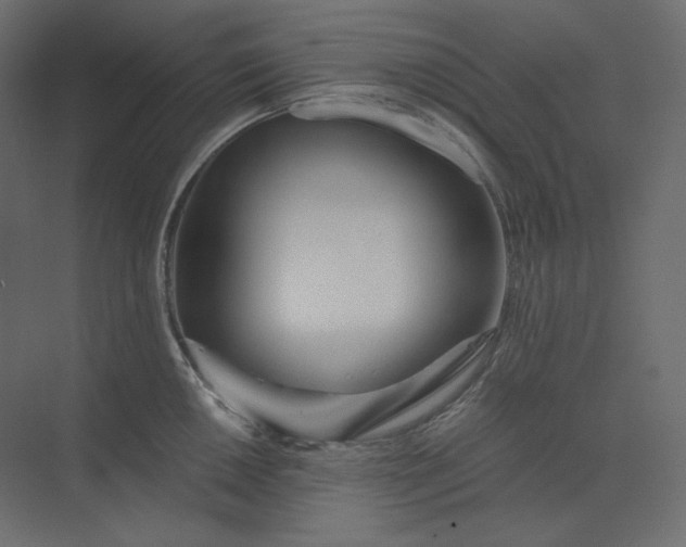 X0000073901050200608251452