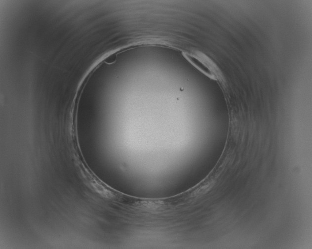 X0000073901052200608251452