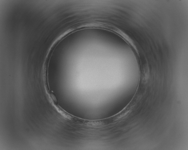 X0000073901053200608251452