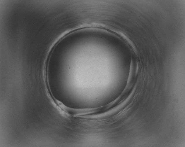 X0000073901054200608251452