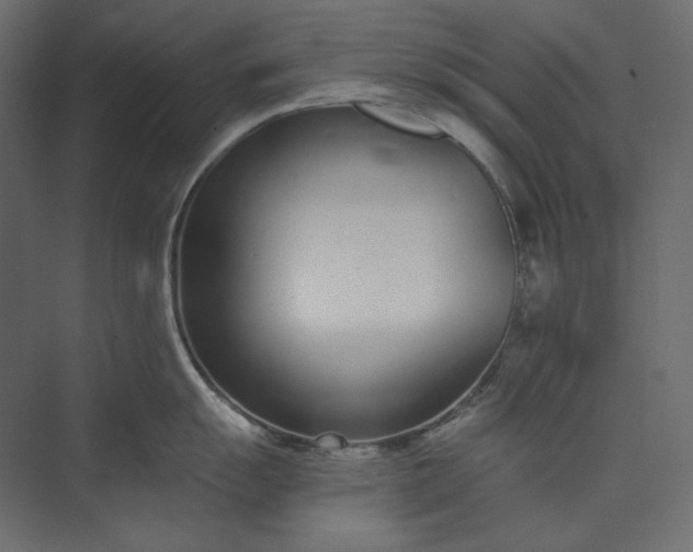 X0000073901055200608251452